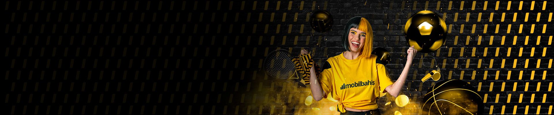 Promotional banner